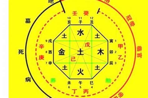 日神煞|八字算命器